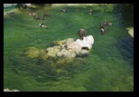 Viena -iunie-2011 - Bogdan Balaban